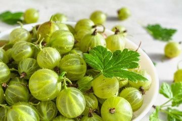Green berries of fresh gooseberry, summer fruit harvest of gooseberries, leaves and berry in a bowl
