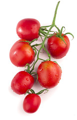 Tomatoes red on a green branch, white background