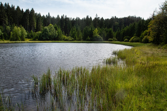 Kampleitenteich im Waldviertel