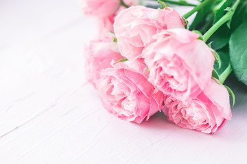 Pink roses on a white background. Soft focus. The concept of wedding and Valentines day.