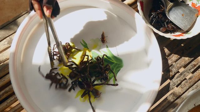 Woman taking deep fried tarantulas out of a wok using metal tongs and putting them into a plate (closeup)