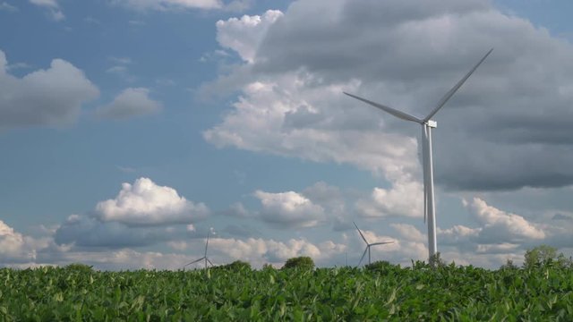 Industrial wind turbines spinning over soy bean field in Missouri