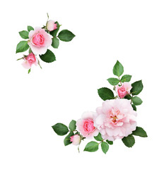 Pink rose flowers and green leaves in a corner floral arrangements