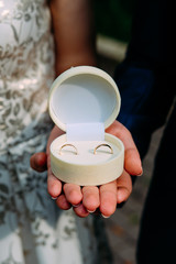 Husband and wife getting married and holding hands