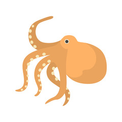 Octopus color vector icon. Flat design
