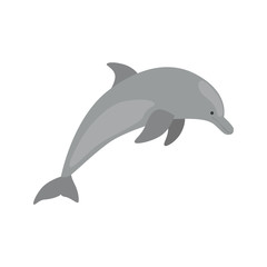 Dolphin color vector icon. Flat design