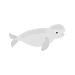 Tuinposter White whale color vector icon. Flat design © egorvector