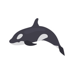 Grampus color vector icon. Flat design