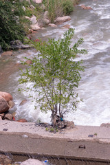 beautiful mountain river