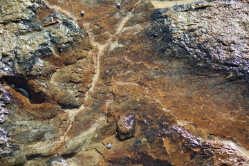 river stone 