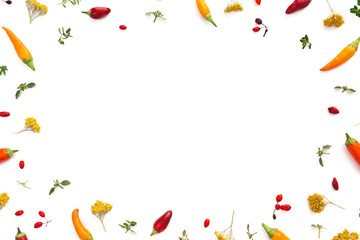 Autumn Background With Red Berries, Yellow Flowers And Colorful Chili Peppers