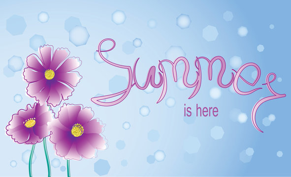 Pink flowers and signature Summer is here. Background image with space for text. Design for poster, greeting cards.