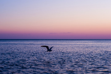 Obraz premium Amazing sea sunset, the sun, waves, clouds