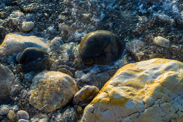 pebble stones on the sea beach, the rolling waves of the sea with foam