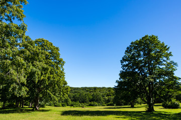 (青森県ｰ風景)観光地・萱野茶屋高原の風景１