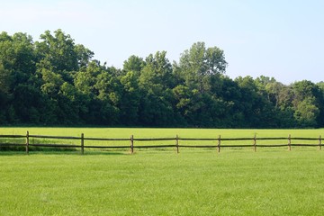 The green grass pasture in the country on sunny day. - obrazy, fototapety, plakaty