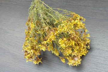 dry grass of St. John's wort, against the background of a gray wooden background.