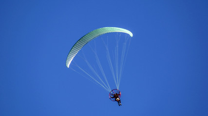 Para Gliders