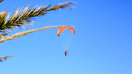 Para Gliders