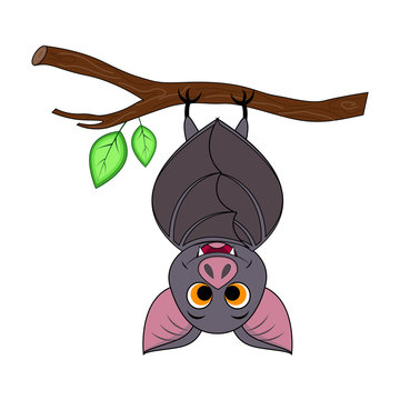Cute cartoon Halloween bat hanging on tree.