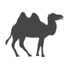 Camel icon silhouette, simple vector
