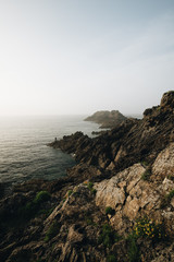 Lonely fisherman at dusk on the Bretagne shore