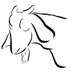 Simple Outline Sketch of Sheep Head, Isolated on White