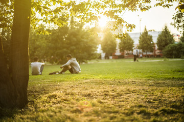defocused group of people sitting on the green lawn grass in the summer park on a sunset