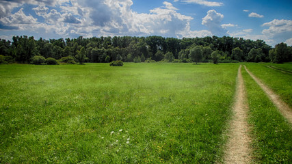 road in green field