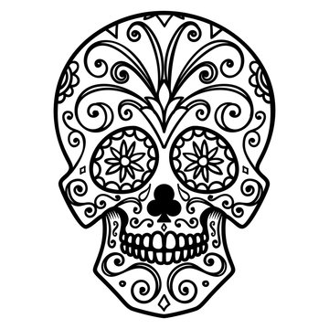 Illustration of mexican sugar skull. Day of the dead. Dia de los muertos. Design element for logo, label, emblem, sign, poster, t shirt