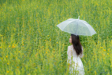 Happy asian woman lifestyle hand holding umbrella in the meadow yellow flower sunrise.  Active Outdoor Relax and enjoy in Nature.  Lifestyle Concept