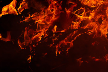 Fototapeta premium blaze fire flame texture background