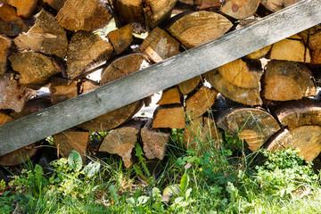 Firewood on the outdoor in summer. Photo of woodpile on the grass