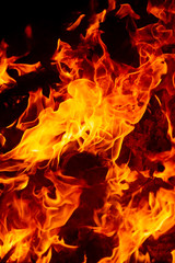 Fototapeta premium blaze fire flame texture background