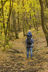 Father with his son on his shoulders walking in the autumn forest. Back viewFather with his son on his shoulders walking in the autumn forest. Back view