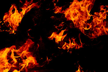 Fototapeta premium blaze fire flame texture background