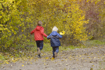 Fototapeta premium Two boys walking in the autumn park. Sunny day. Back view
