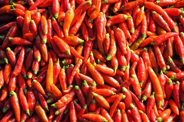 Red chili for sale at a traditional market in Vietnam 