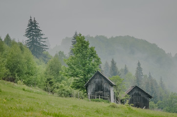 Wooden barn located on the slope of the hill, covered with forest and meadows. Ecology concept of clean environment. Natural background. Taken at misty spring day at Carpathian mountains, Ukraine.