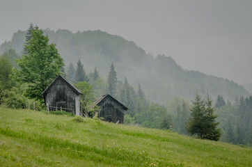 Wooden barn located on the slope of the hill, covered with forest and meadows. Ecology concept of clean environment. Natural background. Taken at misty spring day at Carpathian mountains, Ukraine.