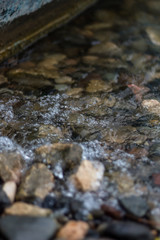 Macro of water bubbles (Jezero Modrac, Prokosovici, Bosnia)
