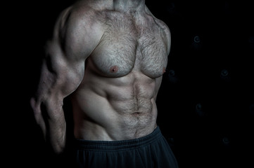 Preparing muscles for actions. Torso with six packs looks attractive on black background. Muscular...
