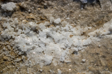 Sea salt on the shore of the beach.