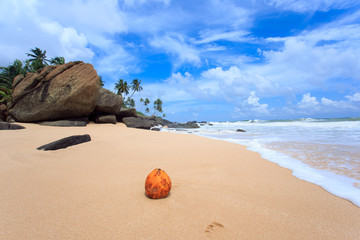 Fototapeta na wymiar Tropical beach of Sri-Lanka