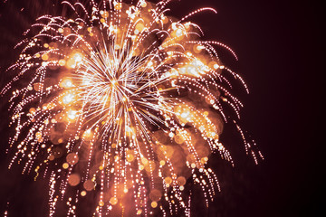 よこすか開国祭花火大会