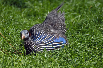 hallo... hier bin ich...