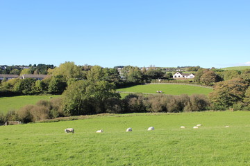 Fototapeta na wymiar Countryside Landscape Background