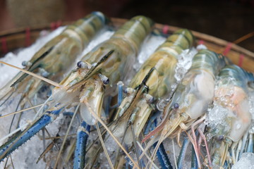 Many raw river prawns on powdered ice in the rattan round tray
