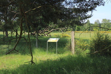 Hinweisschild auf die Ziegen im öffentlichen Naturschutzgebiet Sanddünen von Sandweier - Baden-Baden