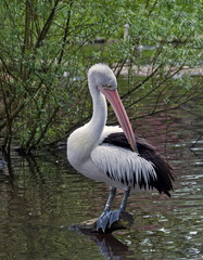 ich habe von hier aus den Überblick ....